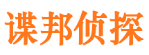 白塔侦探公司